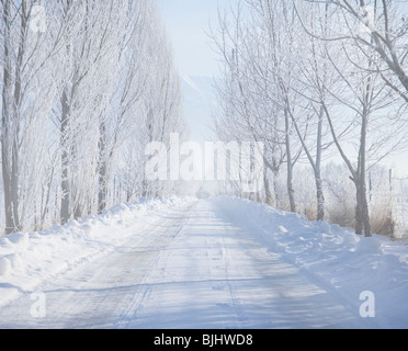 Strada rurale in inverno Foto Stock