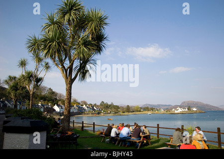 Al di fuori di Plockton Inn i visitatori con un drink nel giardino della birra con il sole e il palm tree Foto Stock