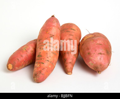 Stati Uniti d'America, cibo, ortaggi a radice, foto di gruppo di North American patate dolci su uno sfondo bianco. Foto Stock