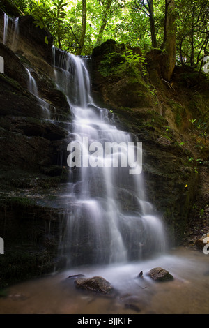 Warwoman Creek Falls sono situati su Warwoman Creek appena ad ovest dell'estremità dell'area pic-nic in Warwoman Dell. Essi possono essere raggiunti da un relativamente breve sentiero del piede dall'area picnic. Pur non essendo una grande cascata, è un luogo molto pittoresco come tutta la zona di Warwoman Dell è molto rigogliosa. Parte di Bartram Creek Trail si snoda attraverso questa zona. Durante la primavera è un posto meraviglioso per trascorrere la giornata come è noto per la sua varietà di fiori selvatici. Foto Stock