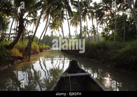 Backwaters tour su un affluente del fiume Poovar, Puvar, Kerala, India del Sud, India, Asia Foto Stock