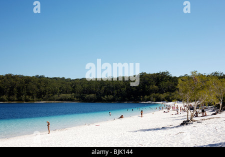 Lago McKenzie su Fraser Island in Australia Foto Stock