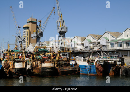 Flotta peschereccia commerciale barche ormeggiate nel porto di Città del Capo Sud Africa Foto Stock