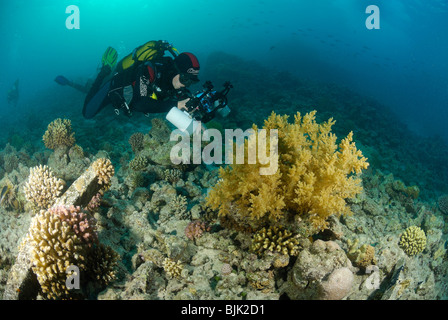 Scuba Diver di scattare una foto in Mar Rosso, off Hurghada Foto Stock