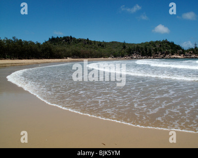 Firenze Bay su Magnetic Island nel Queensland, Australia Foto Stock