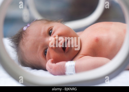 Ragazza neonata in incubatore Foto Stock