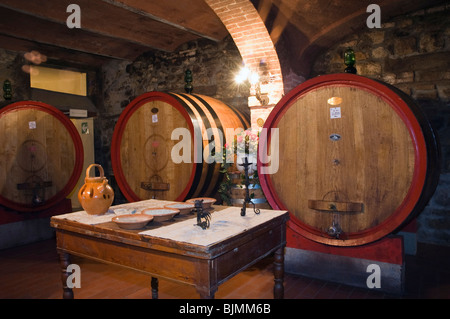 Botti da vino, cantina dei vini nella cantina del Brunello, la Fattoria dei Barbi, Podernovi, Montalcino, Toscana, Italia, Europa Foto Stock