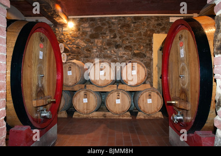 Botti da vino, cantina dei vini nella cantina del Brunello, la Fattoria dei Barbi, Podernovi, Montalcino, Toscana, Italia, Europa Foto Stock