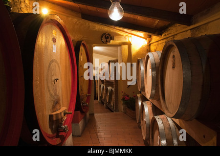 Botti da vino, cantina dei vini nella cantina del Brunello, la Fattoria dei Barbi, Podernovi, Montalcino, Toscana, Italia, Europa Foto Stock