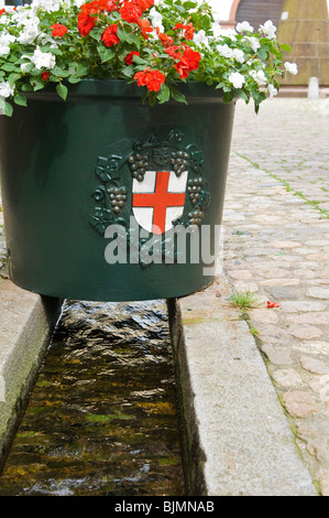 Il Crest di Friburgo al di sopra di un Baechle o piccolo canale di Freiburg im Breisgau, Baden-Wuerttemberg, Germania, Europa Foto Stock