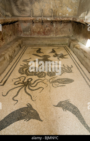 Ercolano, distretto archeologico, gli scavi della città romana di Herkulaneum, onorevoli bagno termale, pavimento a mosaico Foto Stock