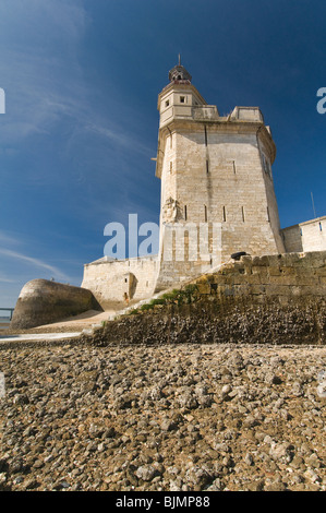 Fort Louvois a bassa marea, Pointe du Chapus , Charente-Maritime, Francia. Foto Stock