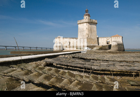 Oyster-agricoltura vicino a Fort Louvois,a bassa marea, Pointe du Chapus , Charente-Maritime, Francia. Foto Stock