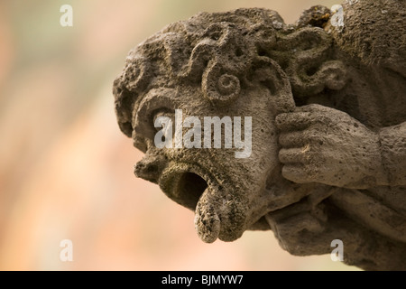 Un gargoyle sul Rathaus (municipio) a Ulm in Germania. Foto Stock