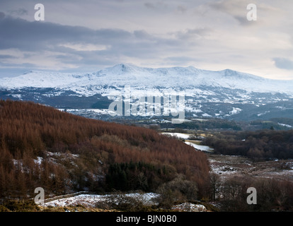 Cadair Idris 893m o 2930ft alta. Visto dal precipizio a piedi vicino a Dolgellau Galles REGNO UNITO Foto Stock