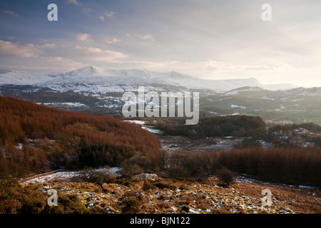 Cadair Idris 893m o 2930ft alta. Visto dal precipizio a piedi vicino a Dolgellau Galles REGNO UNITO Foto Stock