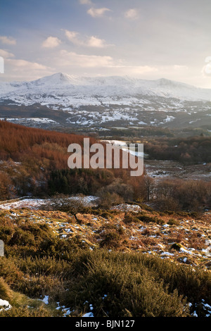 Cadair Idris 893m o 2930ft alta. Visto dal precipizio a piedi vicino a Dolgellau Galles REGNO UNITO Foto Stock