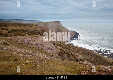 Scogliere vicino alla testa di Worms, Rhossili Foto Stock