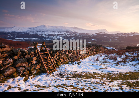 Cadair Idris 893m o 2930ft alta. Visto dal precipizio a piedi vicino a Dolgellau Galles REGNO UNITO Foto Stock