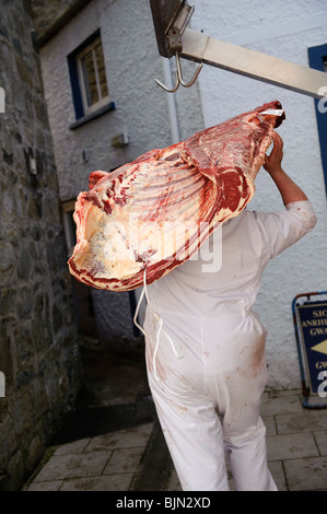 Un uomo di erogazione di un lato della macellazione localmente welsh carni bovine per un macellaio in Newport Pembrokeshire Wales UK Foto Stock