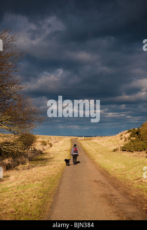 Persona che cammina il loro cane in, Northumberland, Inghilterra Foto Stock