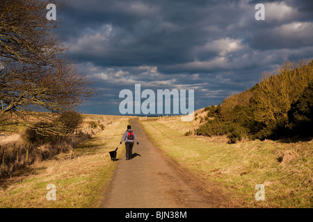 Persona che cammina il loro cane in, Northumberland, Inghilterra Foto Stock