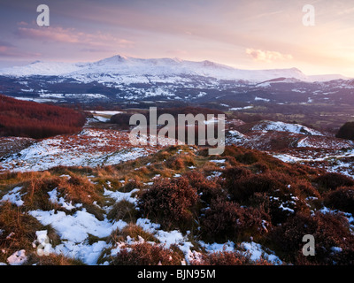 Cadair Idris 893m o 2930ft alta. Visto dal precipizio a piedi vicino a Dolgellau Galles REGNO UNITO Foto Stock