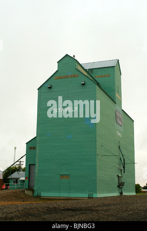 Elevatore granella in Stavely, Alberta, Canada. Foto Stock