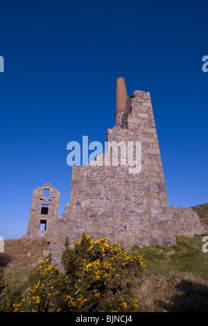 Carn Galver Miniera di stagno nel sole di primavera Foto Stock