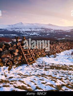 Cadair Idris 893m o 2930ft alta. Visto dal precipizio a piedi vicino a Dolgellau Galles REGNO UNITO Foto Stock