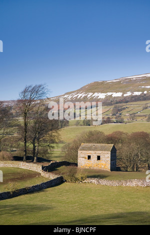 Wensleydale con una vista verso il grazioso sedile, vicino Hawes nel Yorkshire Dales National Park, North Yorkshire, Regno Unito Foto Stock