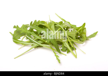 Cumulo di foglie di rucola isolata contro uno sfondo bianco. Foto Stock