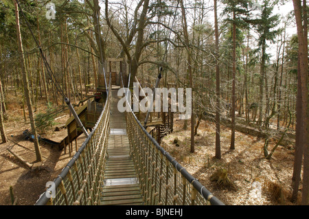 Bewilderwood attrazione turistica in Norfolk Foto Stock