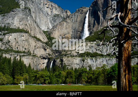 Superiore e inferiore di Yosemite Falls come visto dal fondovalle, il Parco Nazionale Yosemite in California Foto Stock