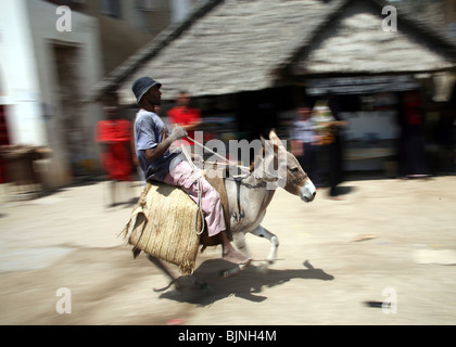 Un cavaliere sul suo asino durante Maulidi, Lamu Kenya Foto Stock