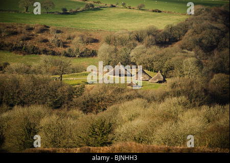 Roundhouses in Castell Henllys ricostruito in età di ferro hill fort, Pembrokeshire, South West Wales, Regno Unito Foto Stock