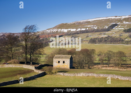 Wensleydale con una vista verso il grazioso sedile, vicino Hawes nel Yorkshire Dales National Park, North Yorkshire, Regno Unito Foto Stock