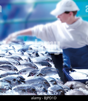 Pesce fresco contatore in un negozio di pesce, cibo fotografia Foto Stock