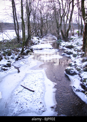 Parzialmente congelati in streaming in inverno Foto Stock