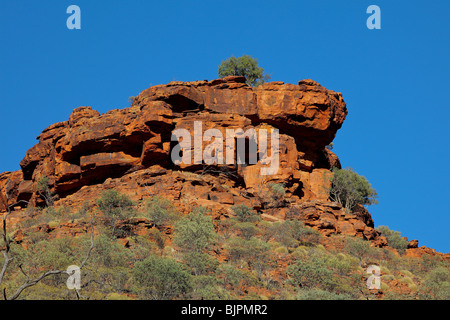 Kings Canyon è in George Gill gamma di Watarrka National Park in Australia. Foto Stock