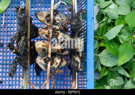 Rane alla griglia su un bastone Luang Prabang Laos di mercato Foto Stock