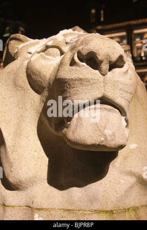 Testa leone statua War Memorial George Square Glasgow Scozia Scotland Foto Stock