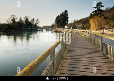 Guardando lungo la passerella di legno sul fiume Tamigi verso il blocco di palude vicino a Henley on Thames in Oxfordshire, Regno Unito Foto Stock