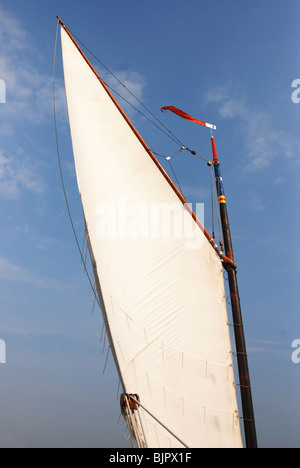 Cerca fino a vela di wherry barca Norfolk Broads Inghilterra Foto Stock