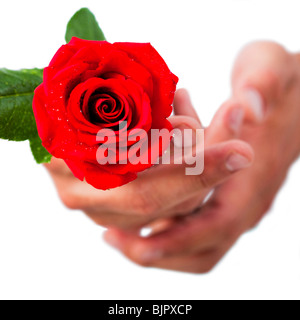 Mani rose Foto Stock