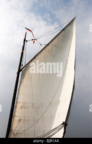 Cerca fino a vela di wherry barca Norfolk Broads Inghilterra Foto Stock