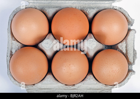 Organici di free-range uova marrone Foto Stock