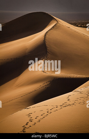 Le dune di sabbia a tubo da stufa pozzi nel Parco Nazionale della Valle della Morte, California, Stati Uniti d'America. Foto Stock