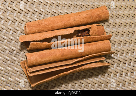 Corteccia di cannella (Cinnamomum verum) con anice stellato (Illicium verum) Santa Lucia Windward Islands West Indies Caraibi Foto Stock