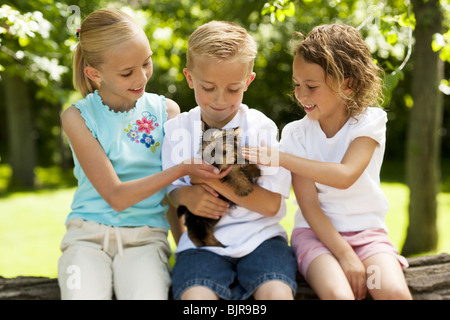 Tre bambini con un cane di piccola taglia Foto Stock